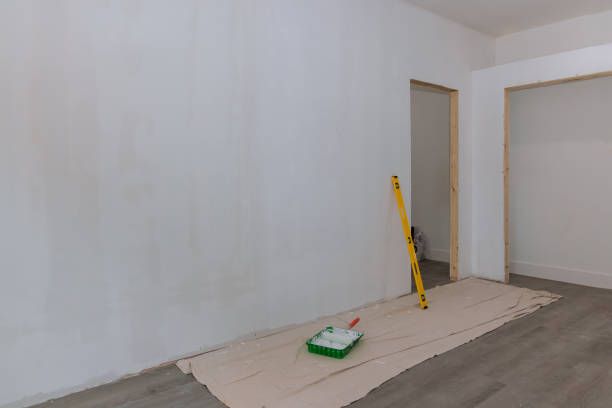 Best Fire-Damaged Drywall Repair  in Fairfax, MN